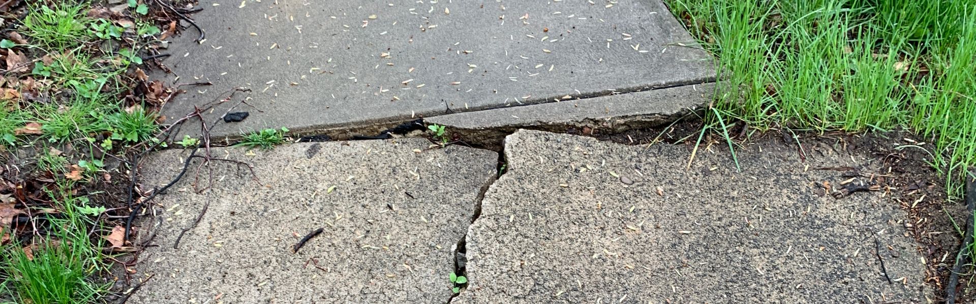 Uneven sidewalk on public property which can lead to a slip and fall accident.